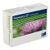 silymarin - CT Hartkapseln, 30 St&uuml;ck, ratiopharm GmbH