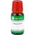 Capsicum LM 12