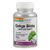Ginkgo-Biloba Extrakt 60 mg 24% Solaray