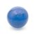 ANTAR Rehabilitationsball Durchmesser 55 cm mit ABS-System
