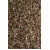 Bertramwurzel 50g