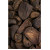 Kolanuss Salbe 100g