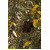 Hexenschuss Tee 100g, 100 Gramm, hofapotheke st. afra