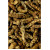 Seidenraupenlarve Tropfen - Tinktur 50ml