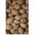 Sterkuliensamen Tropfen - Tinktur 500ml