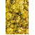 Chrysanthemenblüten 100g