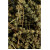Schizonepetakraut 250g