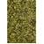 Gurmarbl&auml;tter Tropfen - Tinktur 50ml