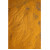 Schlingfarnsporen Tropfen - Tinktur 50ml