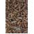 Kiefernsprossen Tropfen - Tinktur 50ml