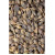 Forsythienfrüchte Tropfen - Tinktur 50ml