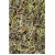 Jiao Gu Lan Tropfen - Tinktur 50ml