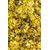 Chrysanthemenblüten 1000g