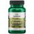Swanson Zimtextrakt 250 mg 90 St