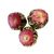 Schrader Teekugeln Grüner Tee China Jasmine Red Peach 0,15 kg