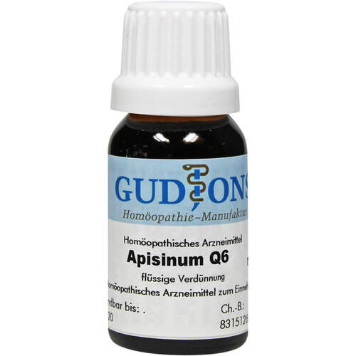 APISINUM Q 6, 15 ml, Gudjons GmbH