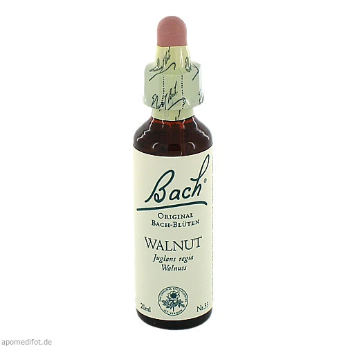 Bach-Blüte Walnut, 20 ml, Nelsons GmbH