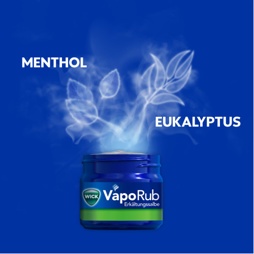 WICK VapoRub Erkältungssalbe, 100 g, WICK Pharma - Zweigniederlassung der Procter & Gamble GmbH