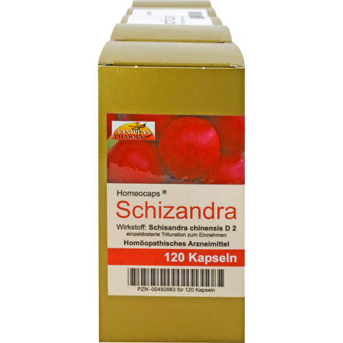 SCHIZANDRA KAPSELN, 600 Stk., Vaniplan Pharma GmbH