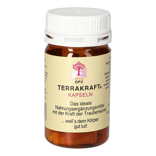 TERRAKRAFT KAPSELN, 60 Stk., Hecht Pharma GmbH GB - Handelsware TERRAKRAFT KAPSELN, 60 Stk., Hecht Pharma GmbH GB - Handelsware