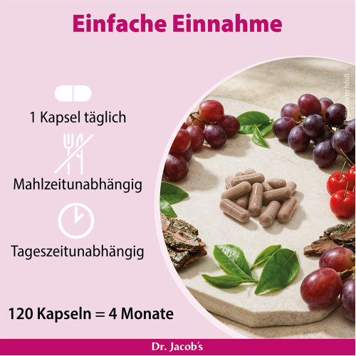 Dr. Jacob's OPC Synergie Traubenkernextrakt mit Acerola, 120 Stk., Dr. Jacob's Medical GmbH