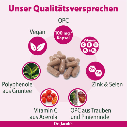 Dr. Jacob's OPC Synergie Traubenkernextrakt mit Acerola, 120 Stk., Dr. Jacob's Medical GmbH