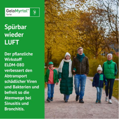 GeloMyrtol forte bei Sinusitis und Bronchitis mit Husten & Schnupfen, 100 Stk., G. Pohl-Boskamp GmbH & Co. KG