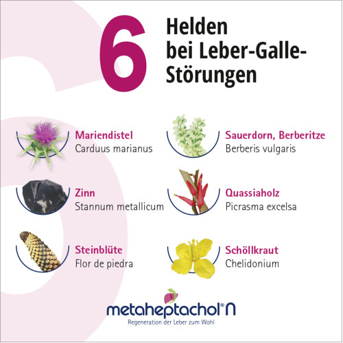 METAHEPTACHOL N, 100 ml, Meta Fackler Arzneimittel GmbH