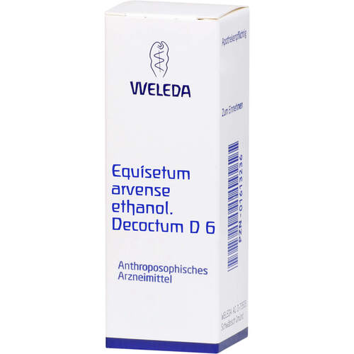 EQUISETUM ARVENSE ethanol.Decoctum D 6 Dilution, 50 ml, WELEDA AG