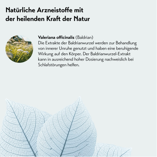 Baldriparan Stark f&uuml;r die Nacht, 120 Stk., PharmaSGP GmbH