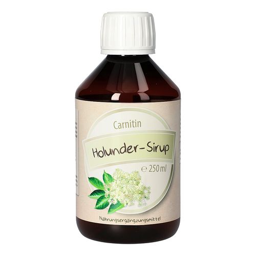 Carnitin-Holunder-Sirup, 250 ml, Bios Medical Services