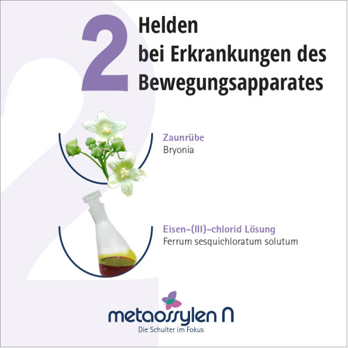 metaossylen N, 100 ml, Meta Fackler Arzneimittel GmbH
