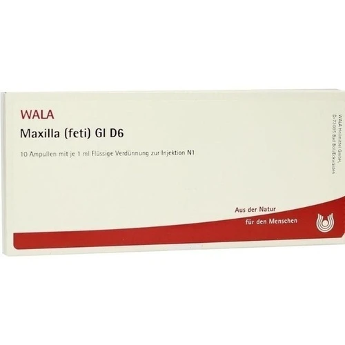 MAXILLA (FETI) GL D 6, 10x1 ml, Wala Heilmittel GmbH