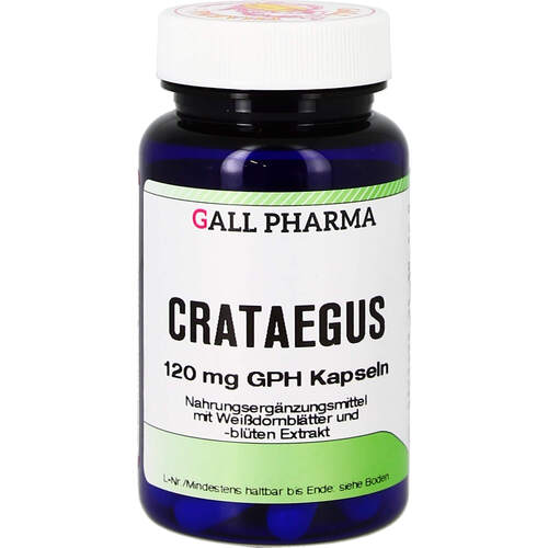 Crataegus 120 mg GPH Kapseln, 1750 Stk., Hecht-Pharma GmbH