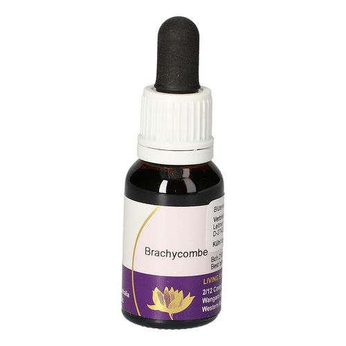 Brachycombe AUSTRALISCHE LIVING ESSENZ, 15 ml, Leitner Lifecare GmbH