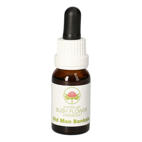 Old Man Banksia Austr. Bushblüte, 15 ml, Leitner Lifecare GmbH Old Man Banksia Austr. Bushblüte, 15 ml, Leitner Lifecare GmbH