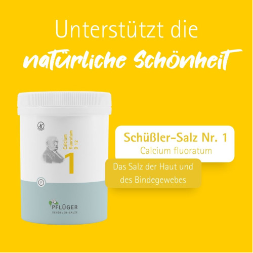 Biochemie Pfl&uuml;ger Nr. 1 Calcium fluoratum D 12, 1000 Stk., Hom&ouml;opathisches Laboratorium Alexander Pfl&uuml;ger GmbH & Co. KG