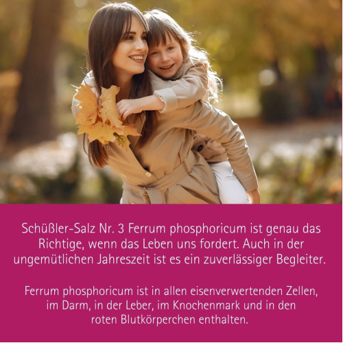 Biochemie Pfl&uuml;ger Nr. 3 Ferrum phosphoricum D 12, 100 Stk., Hom&ouml;opathisches Laboratorium Alexander Pfl&uuml;ger GmbH & Co. KG