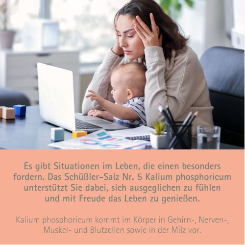 Biochemie Pfl&uuml;ger Nr. 5 Kalium phosphoricum D 6, 400 Stk., Hom&ouml;opathisches Laboratorium Alexander Pfl&uuml;ger GmbH & Co. KG