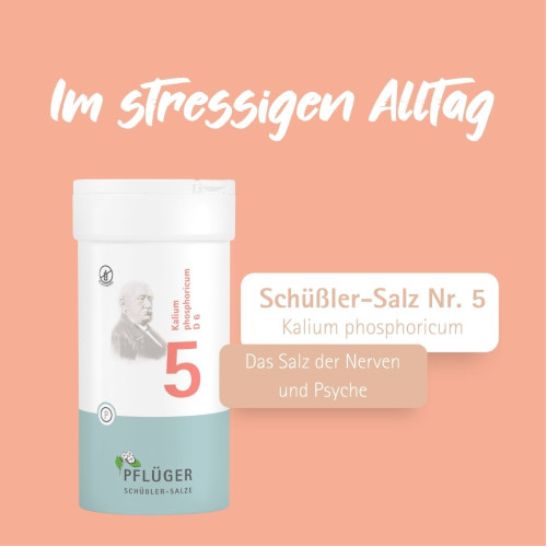 Biochemie Pfl&uuml;ger Nr. 5 Kalium phosphoricum D 6, 400 Stk., Hom&ouml;opathisches Laboratorium Alexander Pfl&uuml;ger GmbH & Co. KG