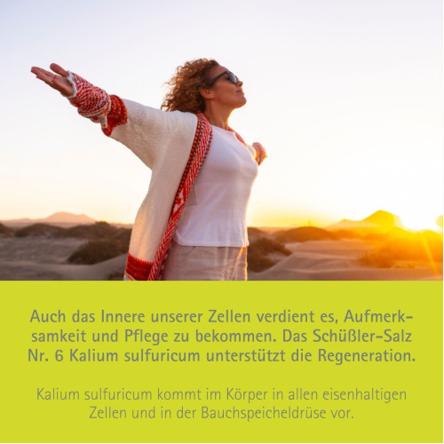Biochemie Pfl&uuml;ger Nr. 6 Kalium sulfuricum D 6, 400 Stk., Hom&ouml;opathisches Laboratorium Alexander Pfl&uuml;ger GmbH & Co. KG