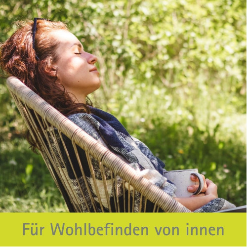 Biochemie Pfl&uuml;ger Nr. 6 Kalium sulfuricum D 6, 400 Stk., Hom&ouml;opathisches Laboratorium Alexander Pfl&uuml;ger GmbH & Co. KG