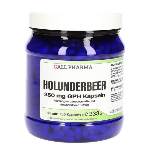 Holunderbeer 350mg GPH Kapseln, 750 Stk., Hecht-Pharma GmbH