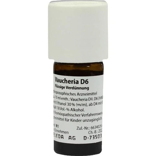 VAUCHERIA D 6 Dilution, 20 ml, WELEDA AG