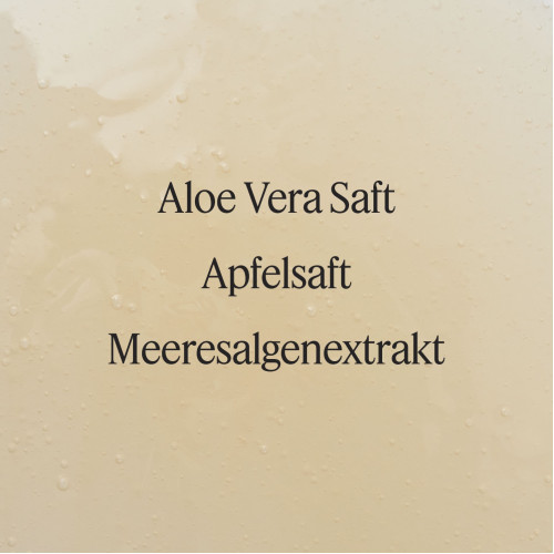 Aloe Vera Reinigungsgel, 100 ml, SANTAVERDE GmbH