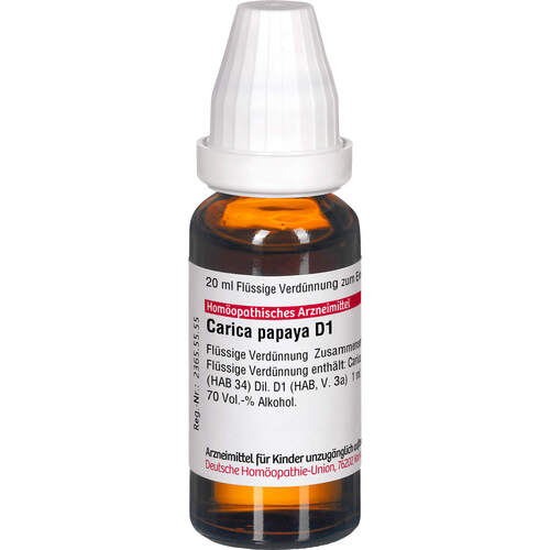 CARICA papaya D 1 Dilution, 20 ml, DHU-Arzneimittel GmbH & Co. KG