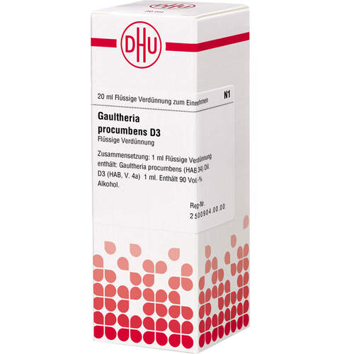 GAULTHERIA PROCUMBENS D 3 Dilution, 20 ml, DHU-Arzneimittel GmbH & Co. KG