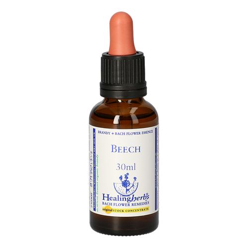 BACHBLUETEN Beech Healing Herbs, 30 ml, Leitner Lifecare GmbH BACHBLUETEN Beech Healing Herbs, 30 ml, Leitner Lifecare GmbH