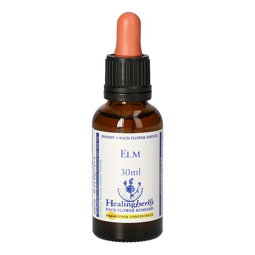 BACHBLUETEN Elm Healing Herbs, 30 ml, Leitner Lifecare GmbH BACHBLUETEN Elm Healing Herbs, 30 ml, Leitner Lifecare GmbH