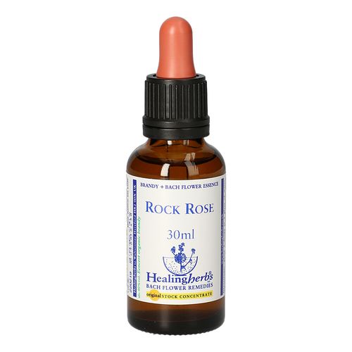 BACHBLUETEN Rock Rose Healing Herbs, 30 ml, Leitner Lifecare GmbH